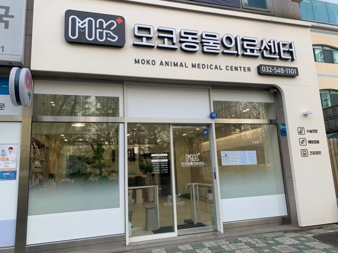  [동물병원간판] 모코동물의료센터
