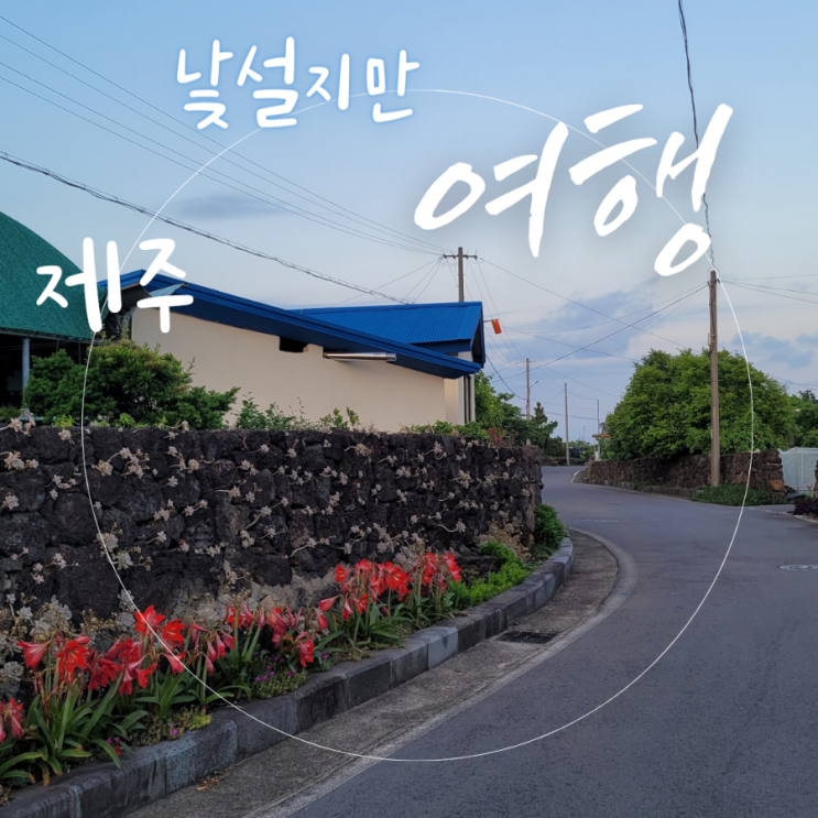  낯선 제주 여행. 모든 날이 행복하기를, 어느 제주 동네 한 바퀴