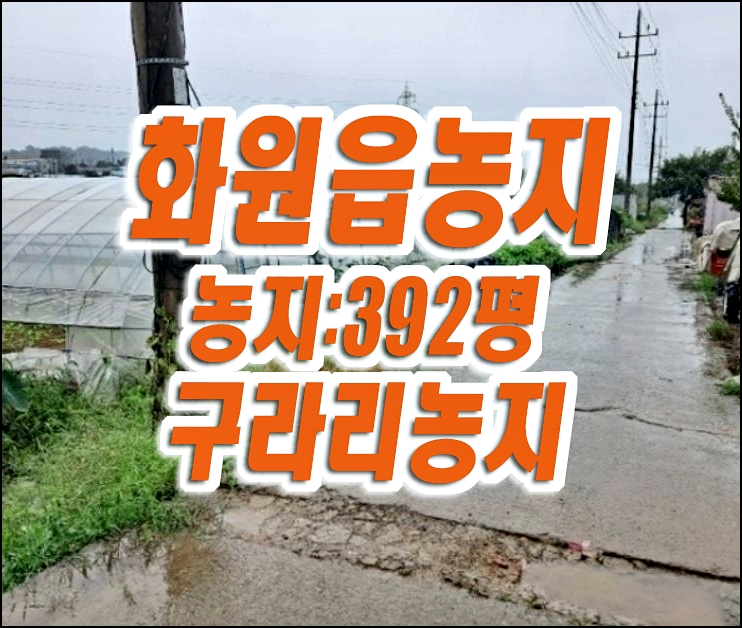 달성군 화원읍 구라리 농지 경매 매매 대구농지경매 달성군 화원읍 구라리 농지 경매 매매 대구농지경매