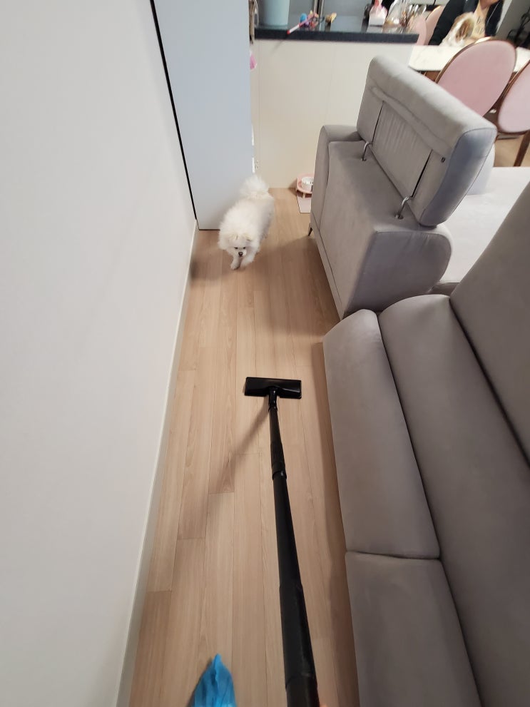  평택 더샵지제역센트럴파크 패브릭소파 세탁 강아지 냄새 얼룩 제거 다녀왔어요