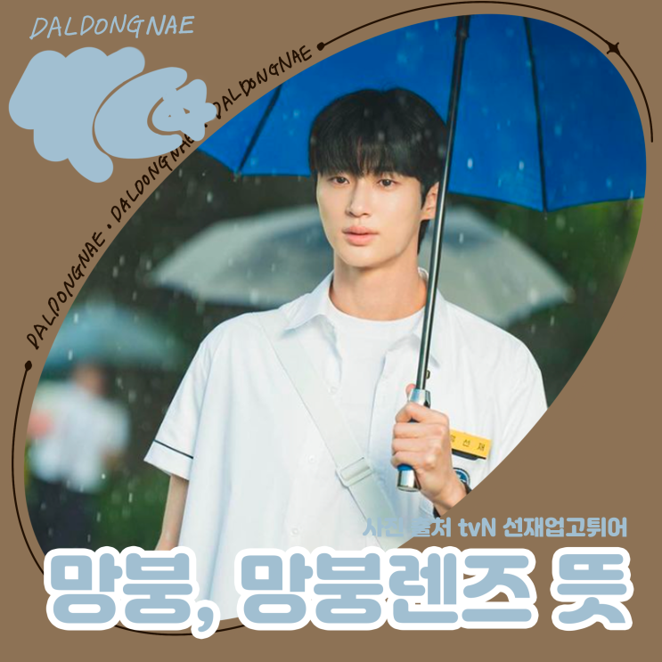  망붕이 뭐예요? 망붕렌즈 뜻 신조어 알아보기