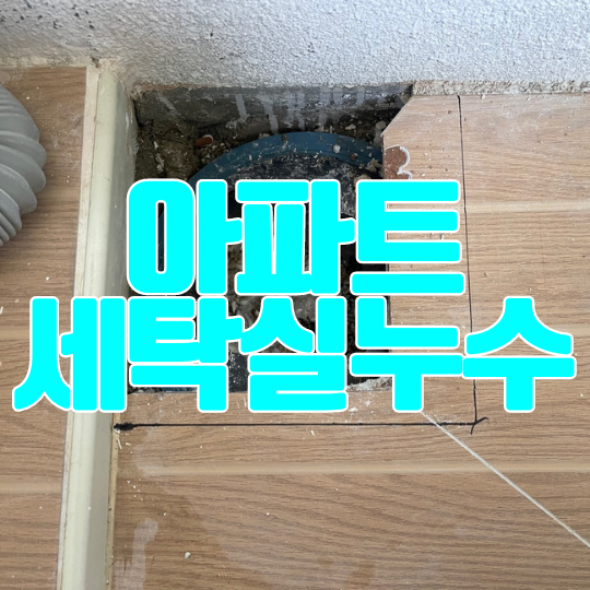  동탄 세탁실 누수ㅣ영천동 아파트 배관에서 물 떨어짐