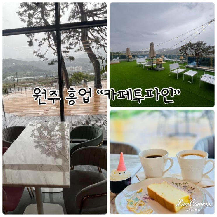  탁 트인 치악산 뷰와 소나무 두 그루가 아름다운 원주카페 “카페투파인”