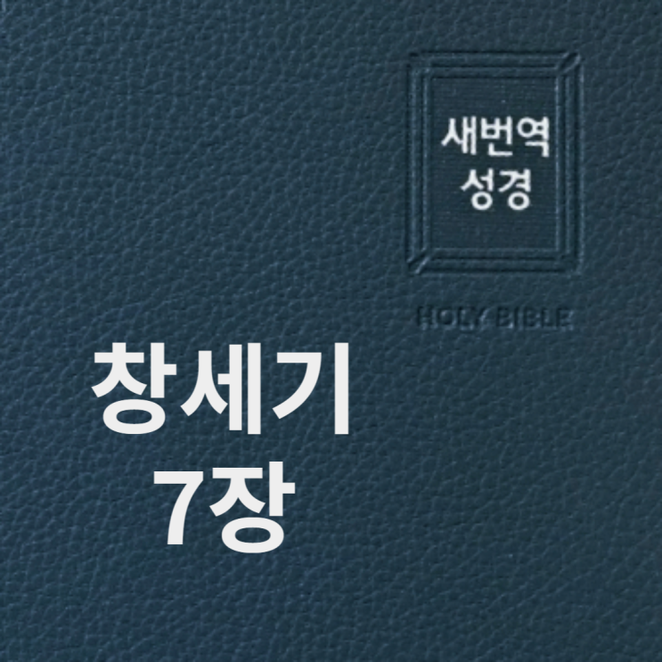 창세기 7장 창세기 7장