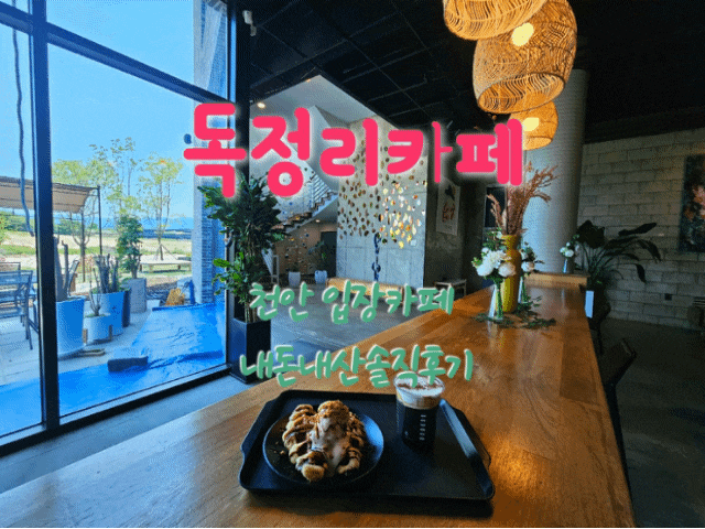  독정리카페 천안입장카페 내돈내산솔직후기