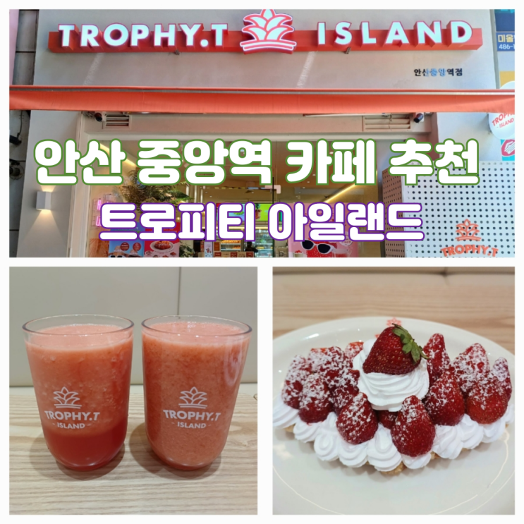 안산 중앙역 카페 트로피티 아일랜드 안산중앙역점 디저트맛집 안산 중앙역 카페 트로피티 아일랜드 안산중앙역점 디저트맛집