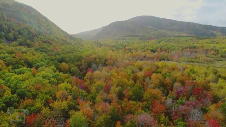  무료 만세력 사이트 명리심리상담사자격증 직장인도 쉽게 준비 과정