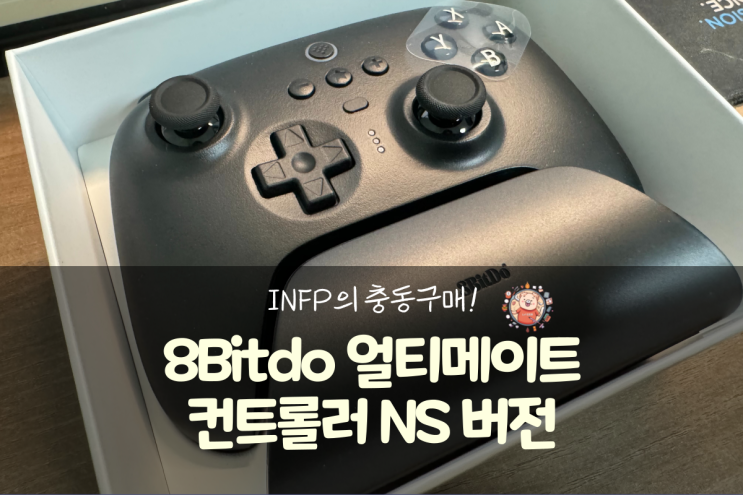  8Bitdo 얼티메이트 NS 컨트롤러 사용 후기(가성비 게임패드)
