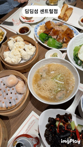  고속터미널 센트럴시티 맛집 딤딤섬, 홍콩 오리지널 딤섬을 맛보고싶다면 여기