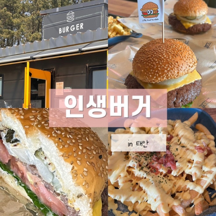  태안 파도리 해수욕장 맛집 인생버거에서 인생 치즈버거를 만났어요