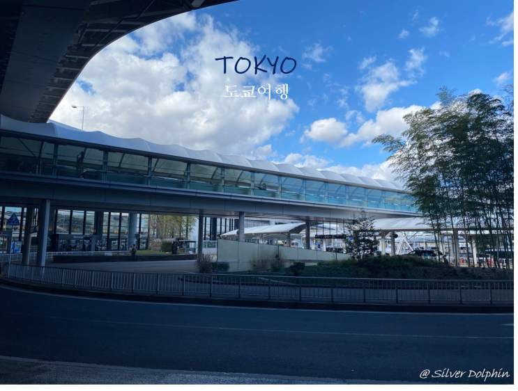  일본여행 도쿄 (Tokyo) 나리타 공항에서 도쿄 도심 가는 법: 스카이라이너  나리타익스프레스  공항리무진버스  LCB 리무진버스 (1300엔 버스)