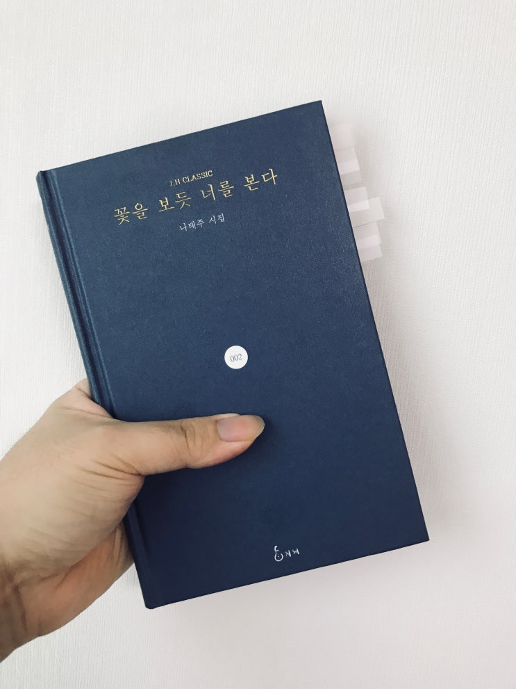  꽃을 보듯 너를 본다(나태주 시집, 출판사 지혜)