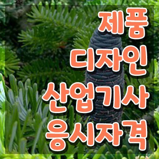  제품디자인산업기사 시험응시조건 온라인으로 간단하게 성공한 노하우