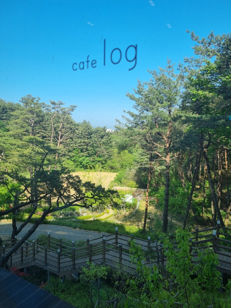  강원도 양양 여행기 셋째날! 인구해변, 카페로그