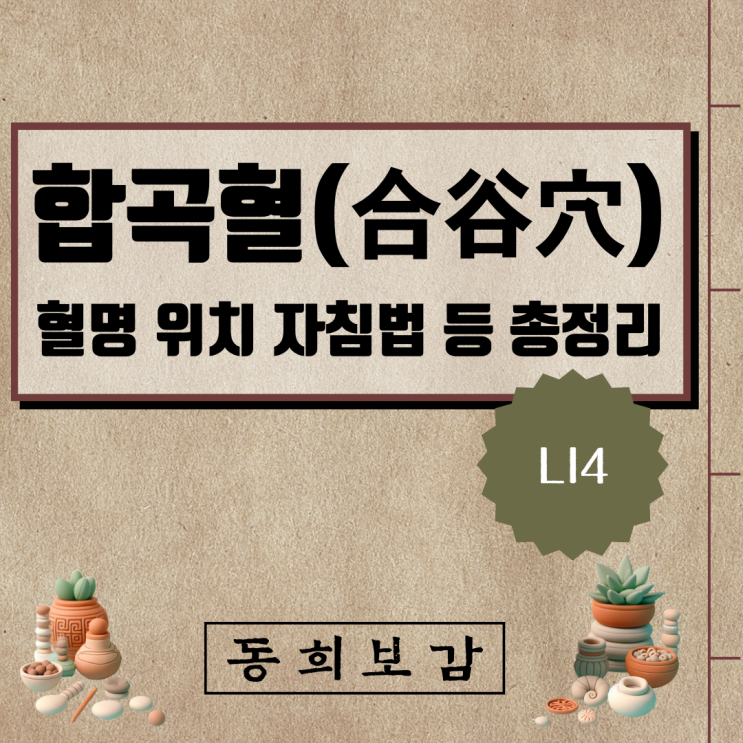  합곡혈(合谷穴) LI4, 소속경맥 혈명 위치 특성 자침법 등 총정리
