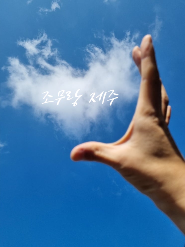  [조무랑 제주] 블로그 삼행시 챌린지