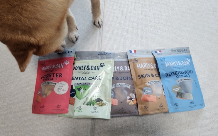  직접 키운 연어로 만든 프랑스 고양이 강아지 간식 연어간식 말리앤댄