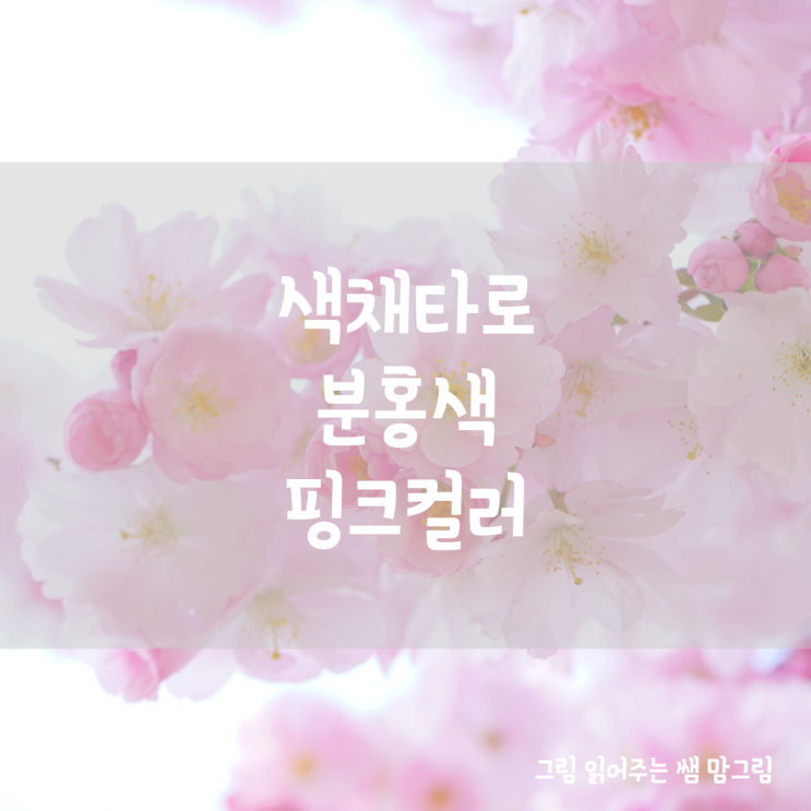  색채(색깔)컬러타로 분홍색(핑크 컬러) 타로 배우기