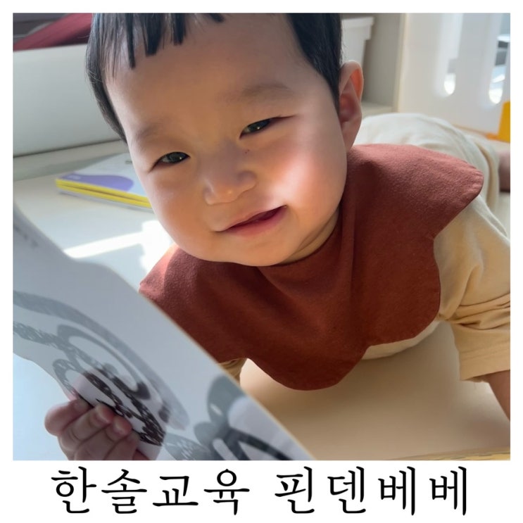  [육아템리뷰]아기 첫 전집 한솔교육 핀덴베베 내돈내산 후기