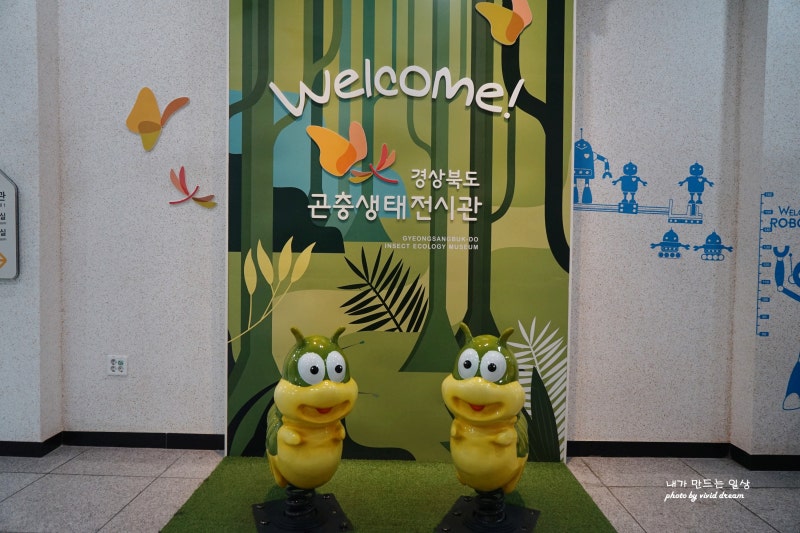 사진 3