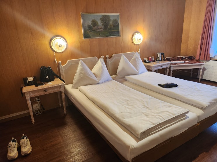  스위스,이탈리아 신혼여행 일정, hotel Chalet Swiss, 아랍에미레이트 기내식,주류