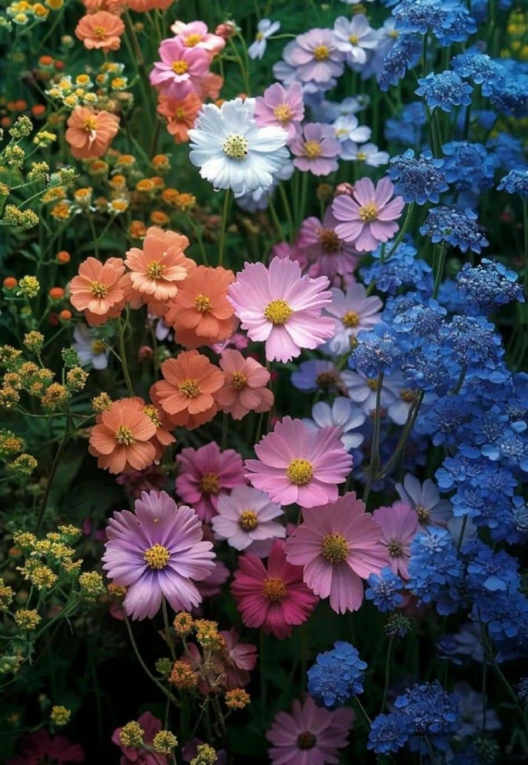   오늘의 생활정보 (2024-05-11, 토)