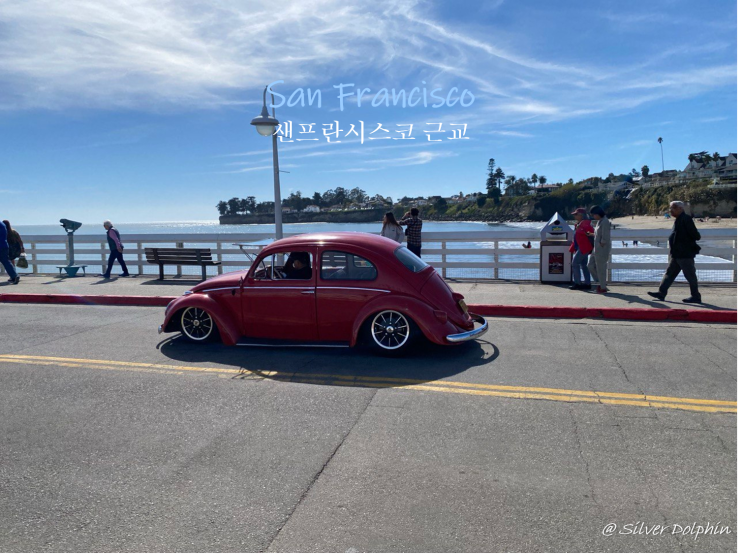  미국여행 샌프란시스코 (San Francisco) 근교 여행: 산타크루즈 (Santa Cruz)
