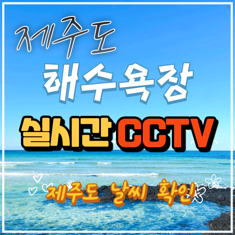 제주도 해수욕장 실시간 CCTV로 날씨 확인 가능!