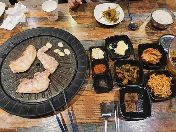돼지카나 사진 5
