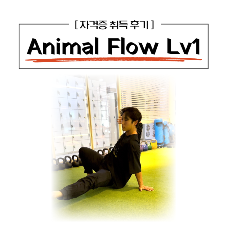  애니멀 플로우(Animal Flow) Lv1 취득 후기 / 소사동피티