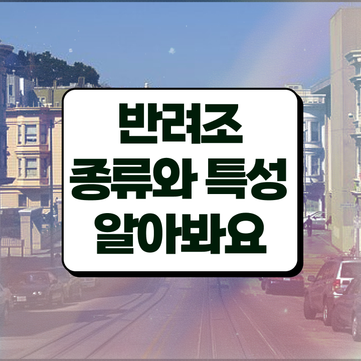  모란앵무 가격 , 반려조관리사 자격증 직장인도 쉽게 취득한 방법 여기서 확인하세요