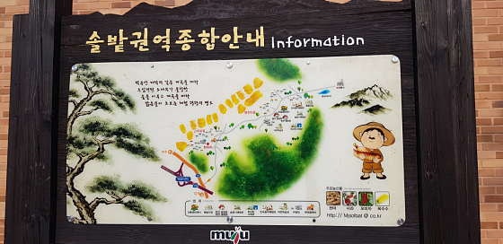 사진 2