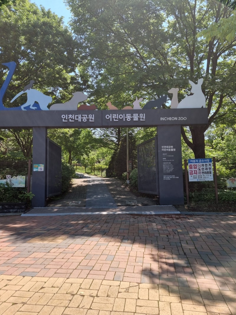 사진 5