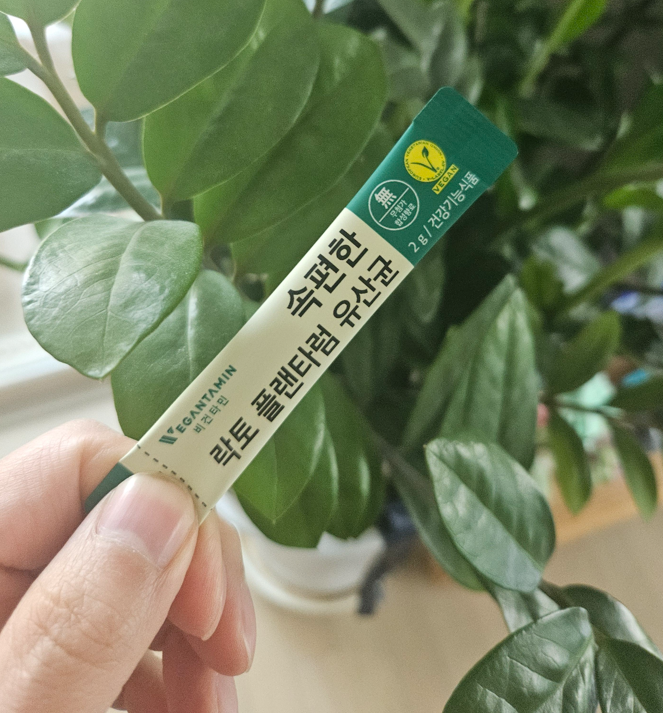  유당없는 유산균으로 온 가족 속 편한 하루 - 비건타민 속편한 락토플랜타럼 유산균 후기