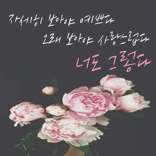   헤어질 결심’…男 “차 한 잔 안 살 때” 女 “성급한 스킨십 시도!