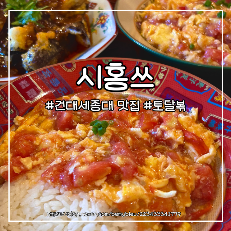  [건대 세종대] 혼밥하기 좋은 토마토계란덮밥 맛집 시홍쓰