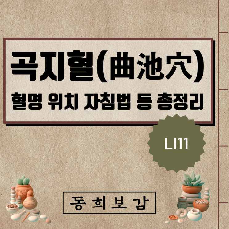  곡지혈(曲池穴) LI11, 소속경맥 혈명 위치 특성 자침법 등 총정리