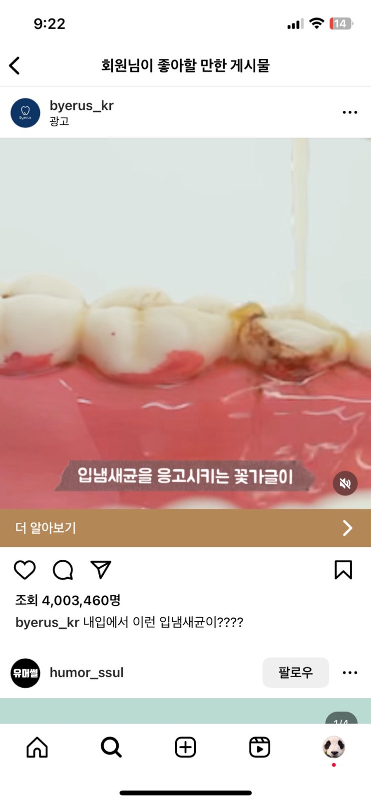  빠이러스 킬파이어 구취 꽃가글 내돈내산 후기 구취제거 담배쩐내제거