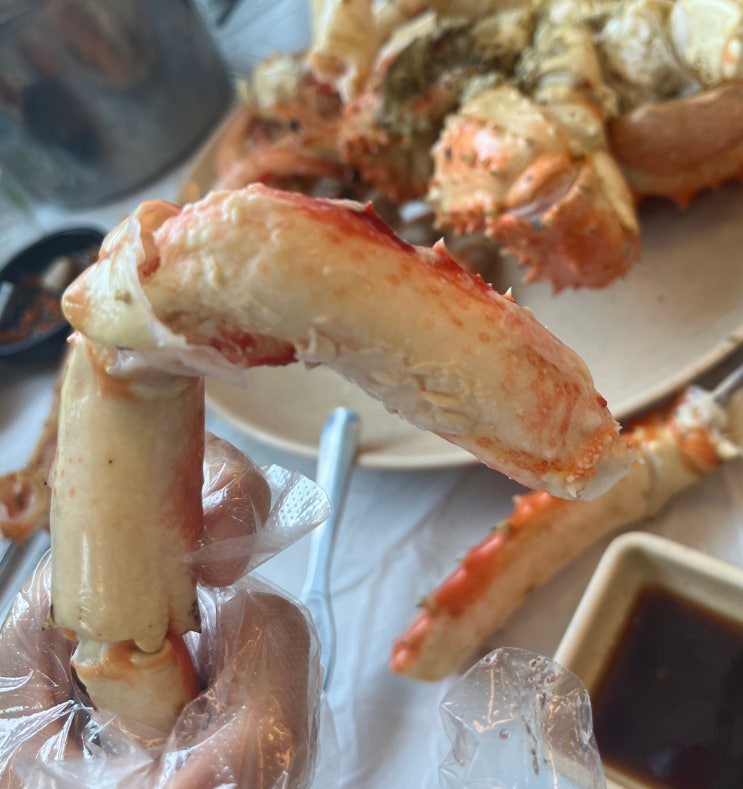  [서울, 맛집] 내 돈 내산 #4. 국가비 킹크랩 대게 / 노량진 수산시장 / 노들 수산 / 서비스 주심 / 수율만족 / 킹크랩 종류 / 어버이날, 어린이날, 기념일