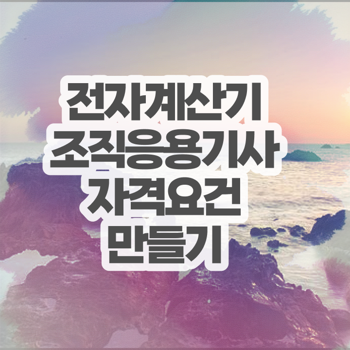  전자계산기조직응용기사 응시자격 독학으로 4달만에 끝낸 전략