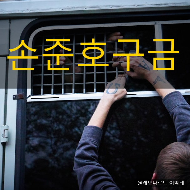  손준호구금
