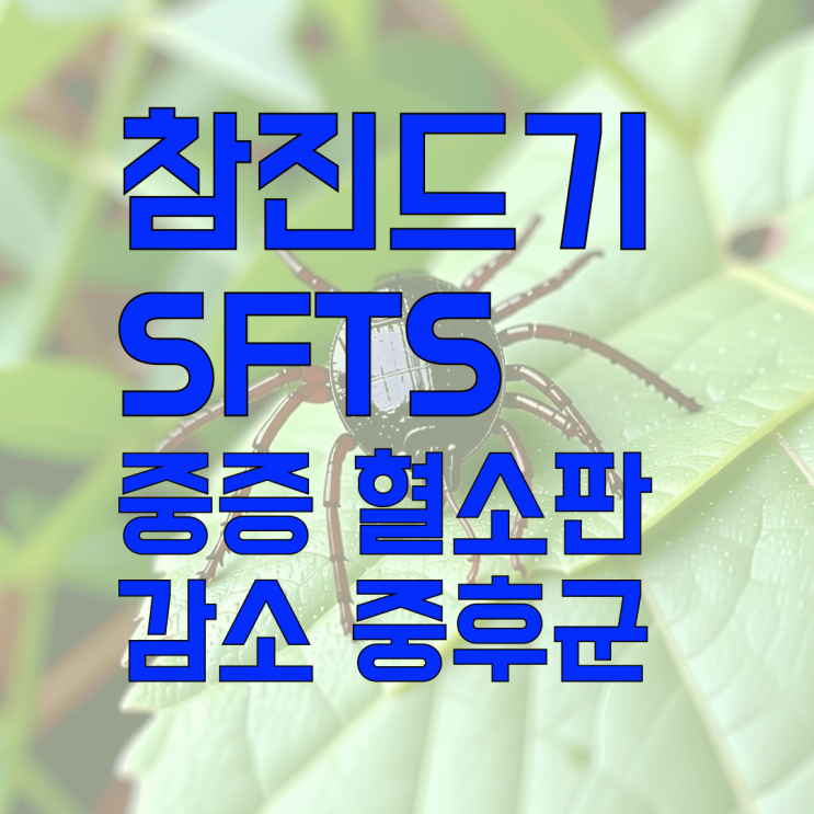 참진드기 물렸을 때 증상 퇴치법 SFTS 예방법과 대처법