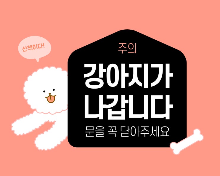  반려견 산책 시 주의사항