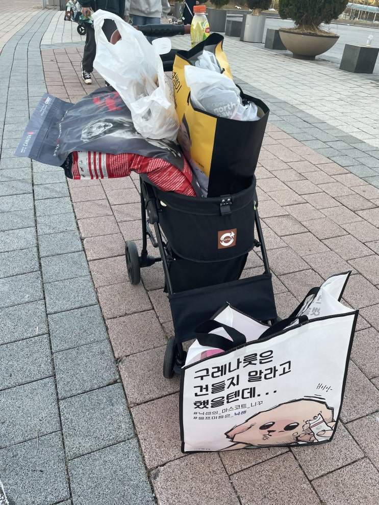  1N번째 펫페어 방문하는 모야맘의 꿀팁