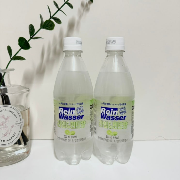  [동아오츠카]-신제품 라인바싸 라임&민트향 탄산수, 탄산수 추천, 라임 탄산수, 민트 탄산수