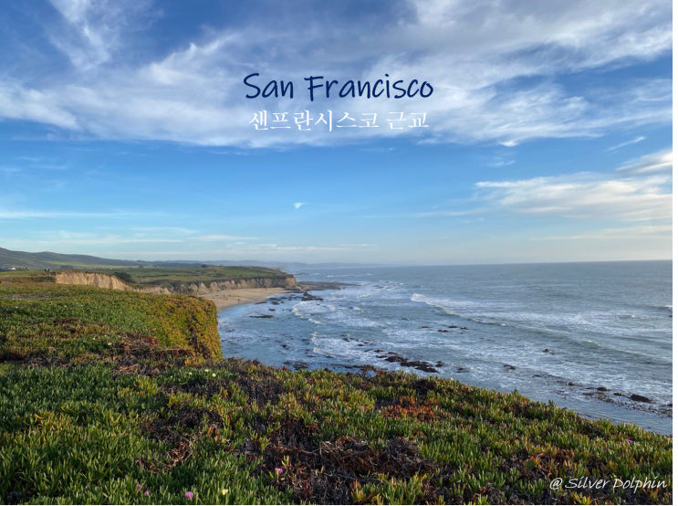 미국여행 샌프란시스코 (San Francisco) 근교: 하프문베이 (Half Moon Bay)