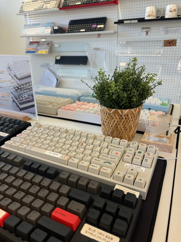  키보드 천국 용산 키보드 타건샵 : 베스트와이, 펀키스
