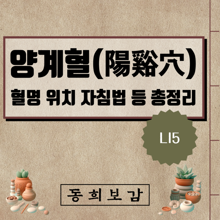  양계혈(陽谿穴) LI5, 소속경맥 혈명 위치 특성 자침법 등 총정리