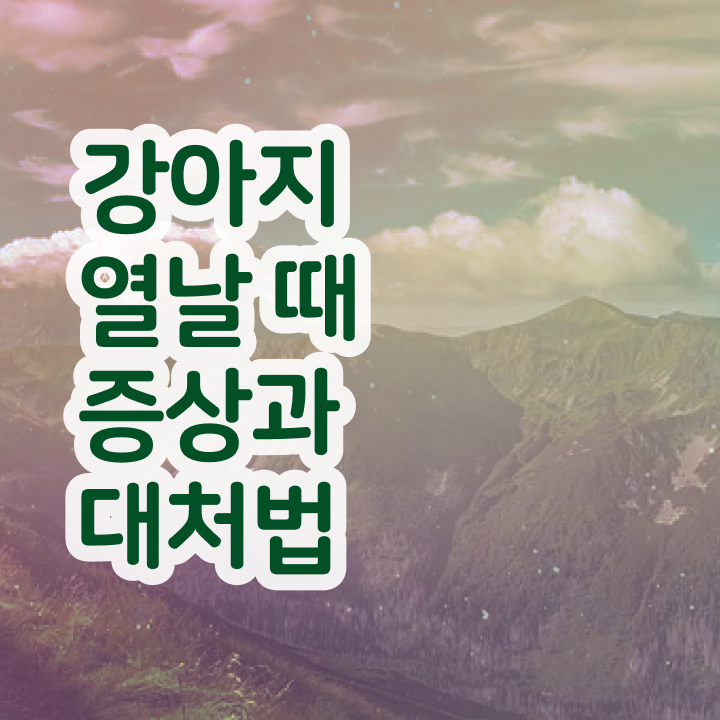  코로나 반려동물 , 반려동물관리사 자격증 온라인으로 쉽게 취득 정보 및 온라인 무료강의