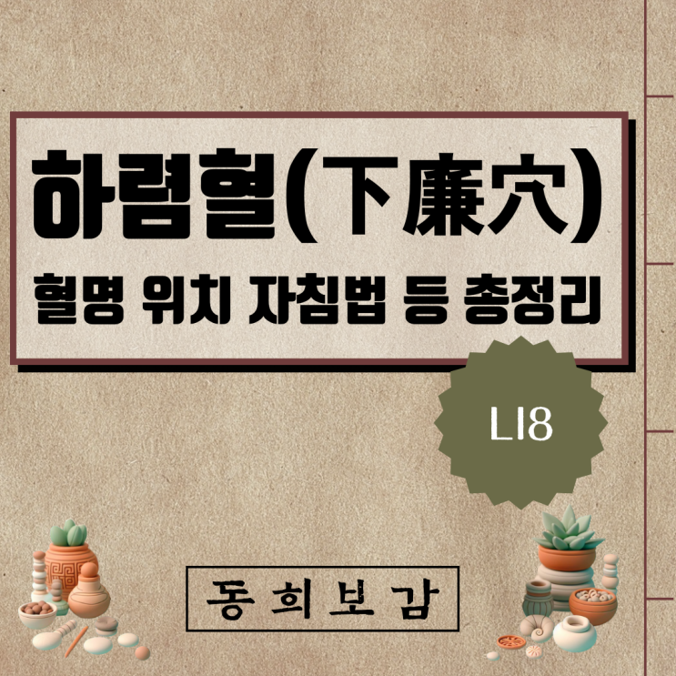  하렴혈(下廉穴) LI8, 소속경맥 혈명 위치 특성 자침법 등 총정리